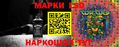 крисы Будённовск