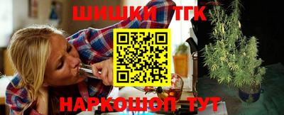 крисы Будённовск