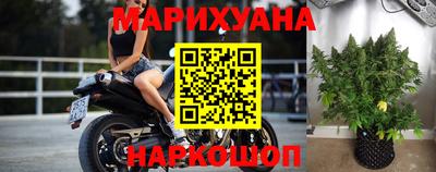 крисы Будённовск