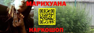 крисы Будённовск