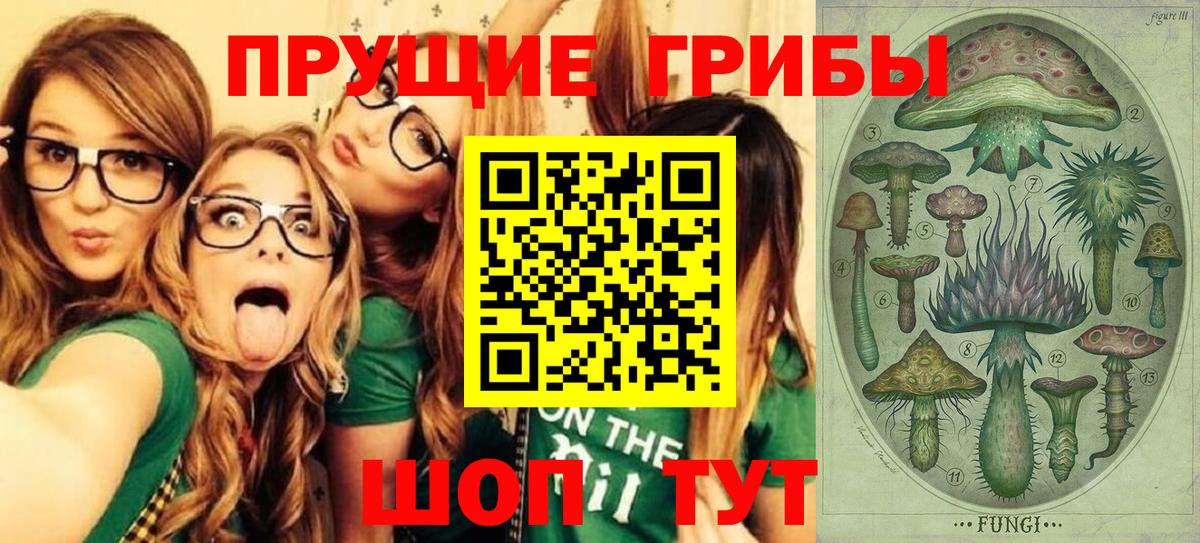 Галлюциногенные грибы GOLDEN TEACHER Татарск